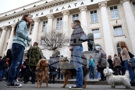 Протест срещу насилието над животни