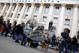 Протест срещу насилието над животни