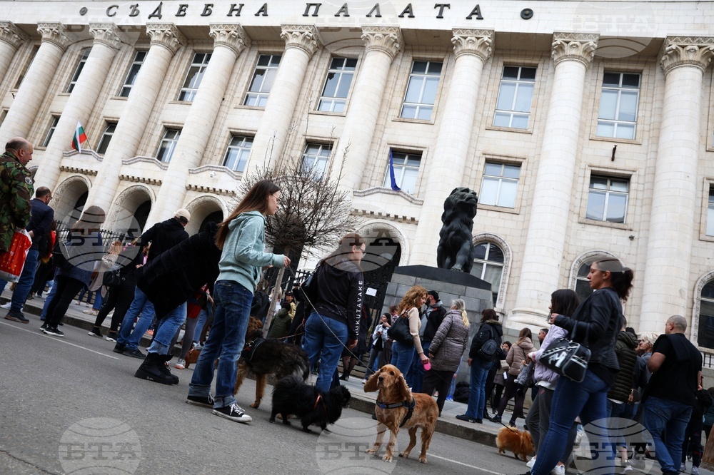 Протест срещу насилието над животни