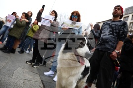 Протест срещу насилието над животни
