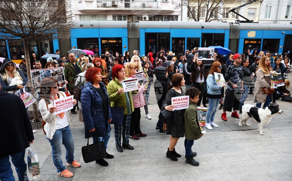 Protests against Violence Take Place in Multiple Cities, Call against Violence towards Animals