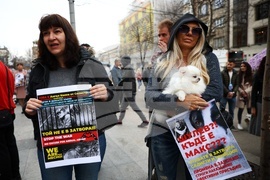 Протест срещу насилието над животни