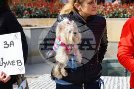 Бургас - национален протест срещу насилието на животни