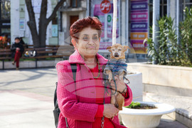 Бургас - национален протест срещу насилието на животни