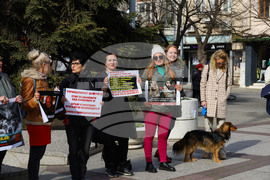 Бургас - национален протест срещу насилието на животни