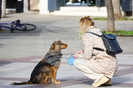 Бургас - национален протест срещу насилието на животни