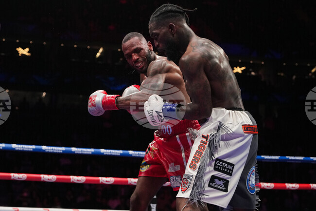 Martin Albright Boxing