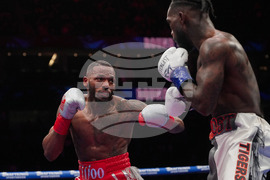 Martin Albright Boxing