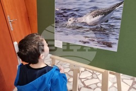 Кърджали - Ден на завръщане на дивата природа