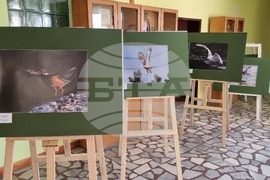 Кърджали - Ден на завръщане на дивата природа