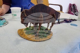 Кърджали - Ден на завръщане на дивата природа