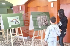 Кърджали - Ден на завръщане на дивата природа