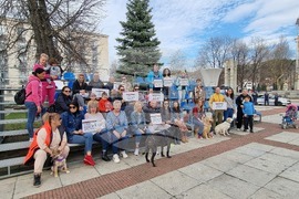 Габрово - протест срещу насилието над животни
