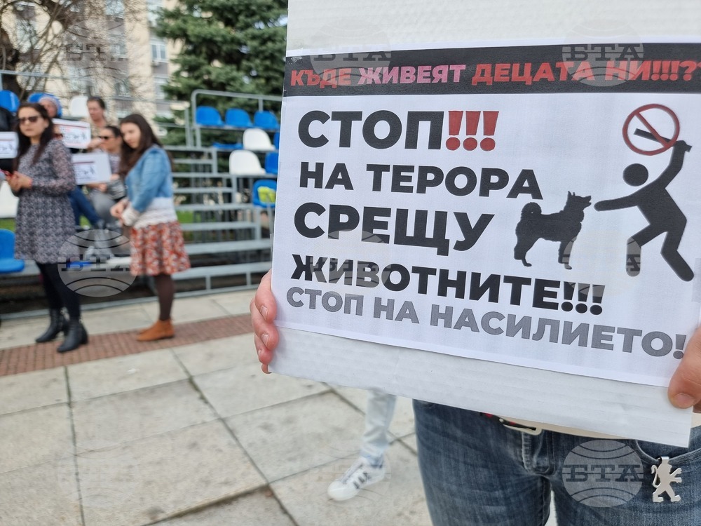 Габрово - протест срещу насилието над животни