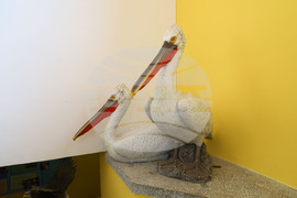 Бургас - БДЗП - нов определител за птици