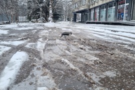 Търговище - зима - обстановка