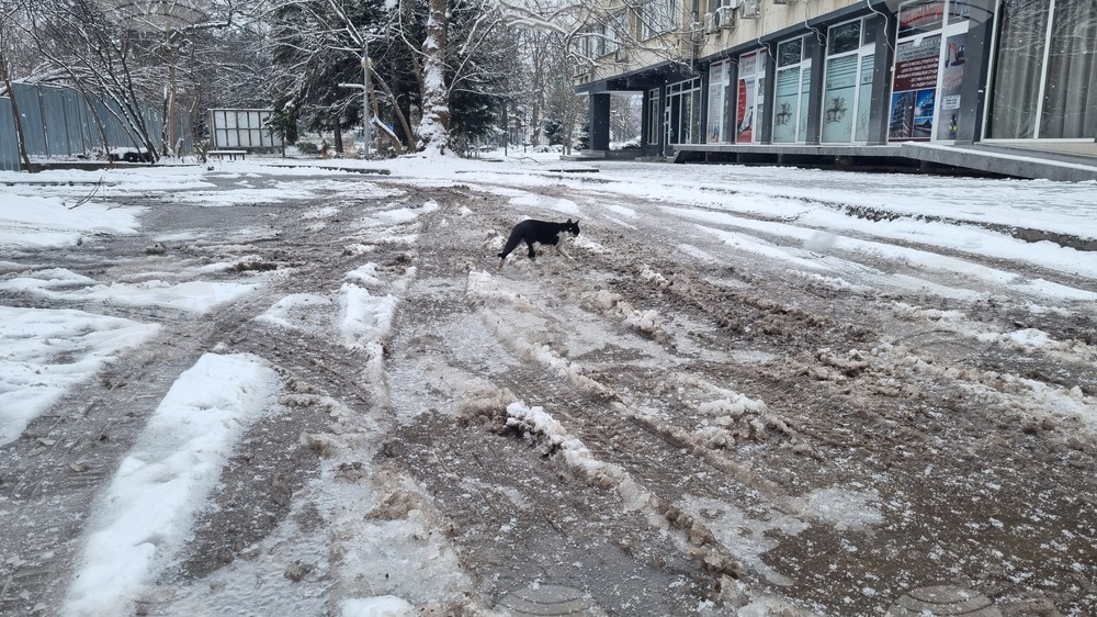 Търговище - зима - обстановка