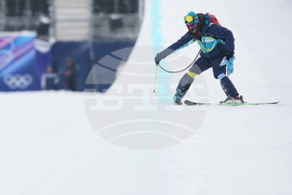 Milan Cortina Olympics Freestyle Skiing