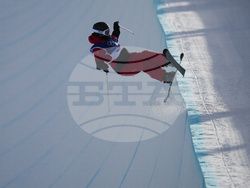 Milan Cortina Olympics Freestyle Skiing