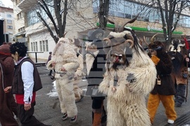 Плевен - кукерски празник - Сирни Заговезни