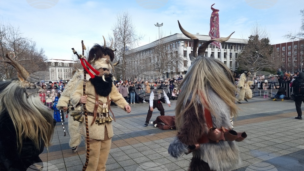 Плевен - кукерски празник - Сирни Заговезни