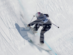 Milan Cortina Olympics Freestyle Skiing