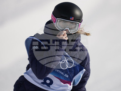 Milan Cortina Olympics Freestyle Skiing