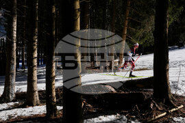 Milan Cortina Olympics Cross Country
