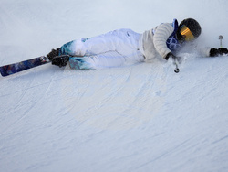 Milan Cortina Olympics Freestyle Skiing