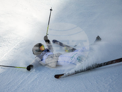 Milan Cortina Olympics Freestyle Skiing