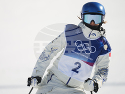 Milan Cortina Olympics Freestyle Skiing