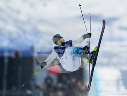 Milan Cortina Olympics Freestyle Skiing