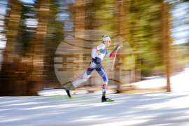 Milan Cortina Olympics Cross Country