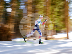 Milan Cortina Olympics Cross Country