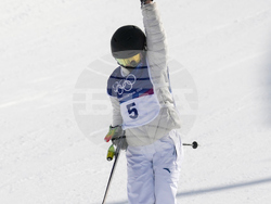 Milan Cortina Olympics Freestyle Skiing