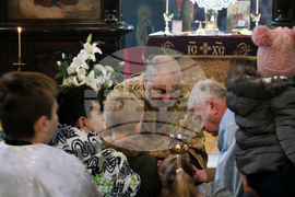 Добрич - Сиропустна неделя - литургия