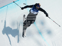 Milan Cortina Olympics Freestyle Skiing