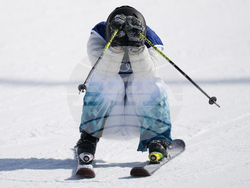 Milan Cortina Olympics Freestyle Skiing