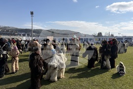 Костенец - Сирни Заговезни - кукерски празник