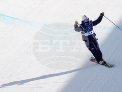 Milan Cortina Olympics Freestyle Skiing
