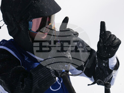 Milan Cortina Olympics Freestyle Skiing