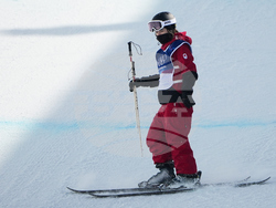 Milan Cortina Olympics Freestyle Skiing