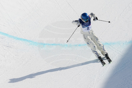 Milan Cortina Olympics Freestyle Skiing