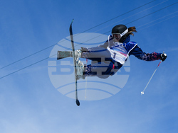 Milan Cortina Olympics Freestyle Skiing