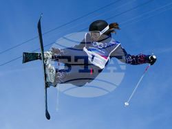 Milan Cortina Olympics Freestyle Skiing