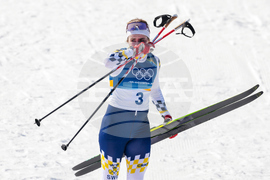 Milan Cortina Olympics Cross Country