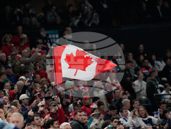 Milan Cortina Olympics Ice Hockey