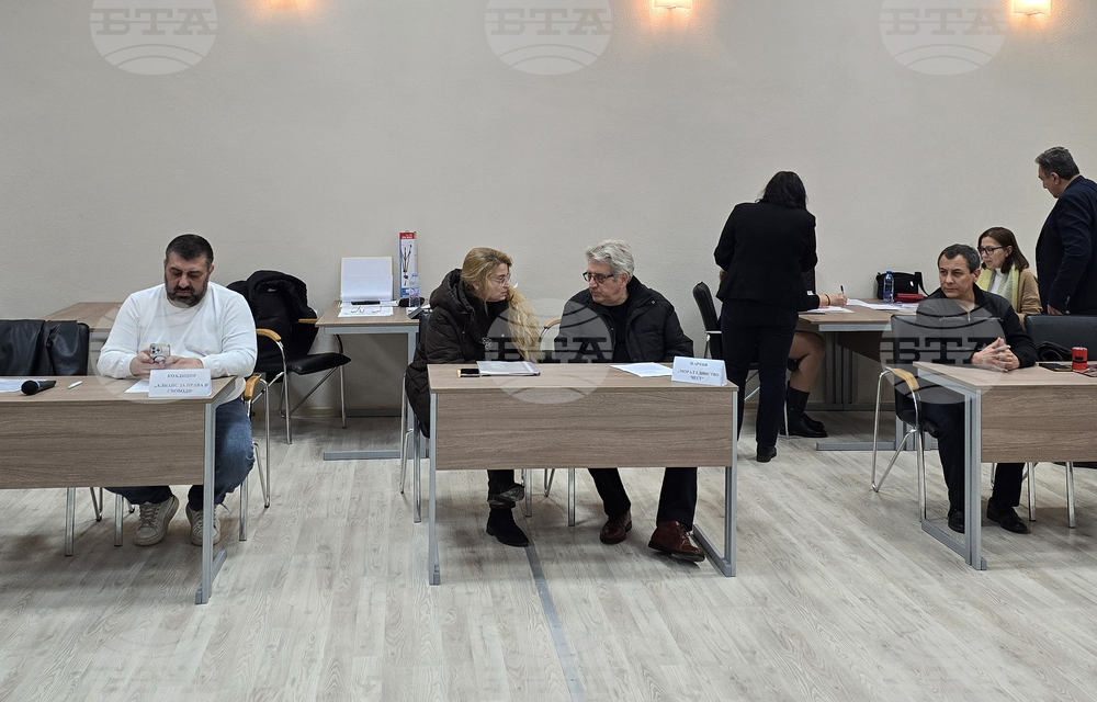 Видин - Районна избирателна комисия - консултации