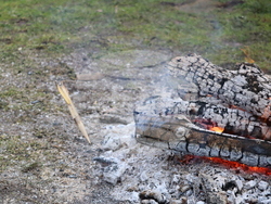 Добрич - Сирни Заговезни - обичаи