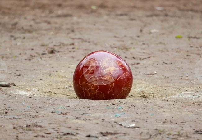 Vietnam Festival Game